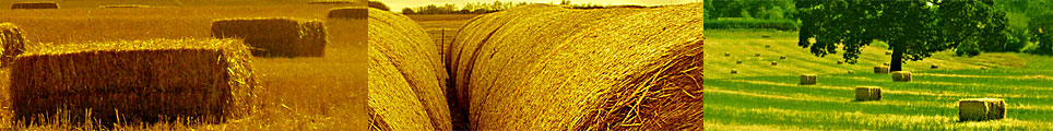 Save Hay - whether it's Large Square Bales, Small Square Bales, or Round Hay Bales!